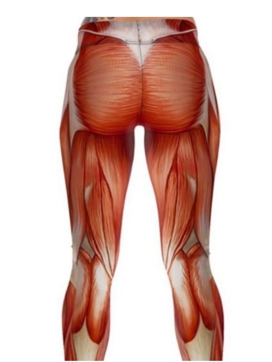 Blackmilk Pants - Blackmilk Muscles and Bones Leggings S
